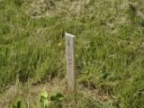 image of grave number 950701